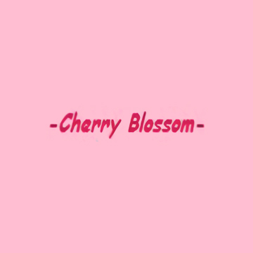 Cherry Blossom