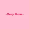Cherry Blossom