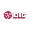 DIG