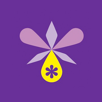 OrchidSeed