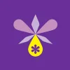 OrchidSeed