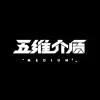 五维介质