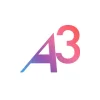 A3